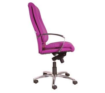 Кресло для руководителя Walter Alu2