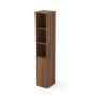 2P.005.2n_Shamoni-temnyy.jpg